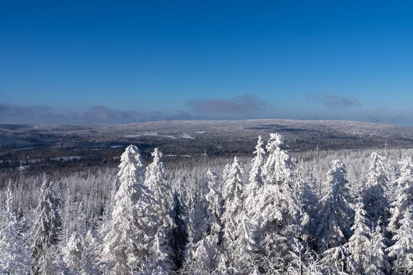 Winterlandschaft Nationalpark Harz, Blick von der Achtermannshoehe