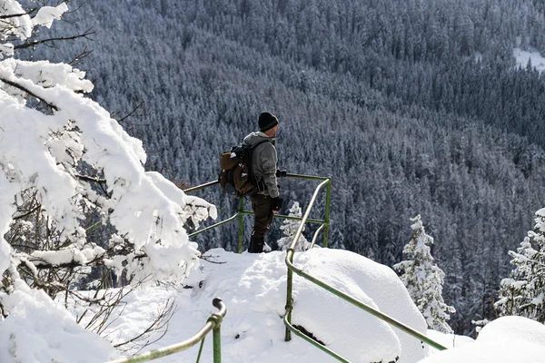 Harz – Achtermannshoehe – Nationalpark Harz, Deutschland – Foto 17 von 50