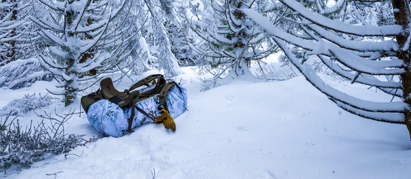 Harz – Achtermannshoehe – Nationalpark Harz, Deutschland – Foto 18 von 50