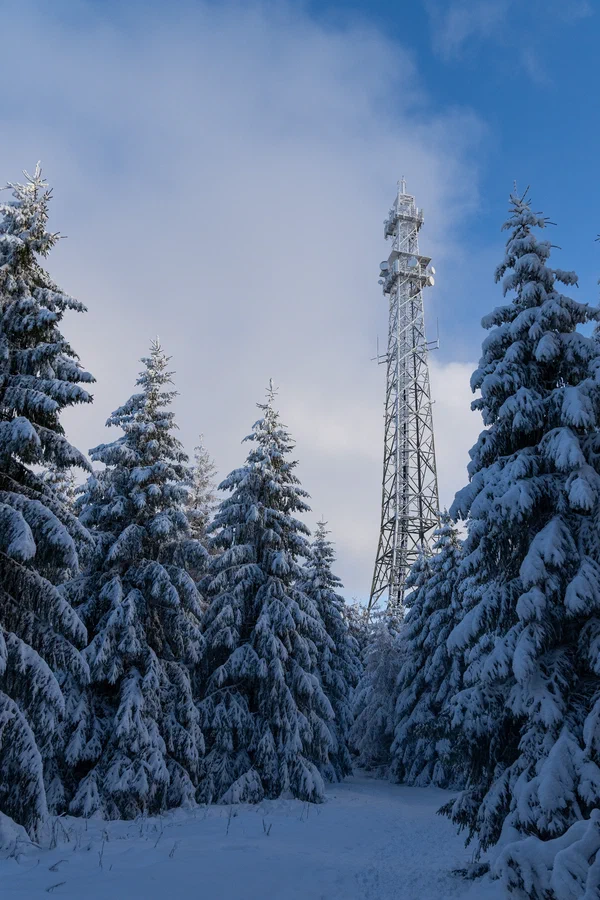 Harz – Achtermannshoehe – Nationalpark Harz, Deutschland – Foto 22 von 50
