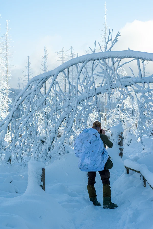Harz – Achtermannshoehe – Nationalpark Harz, Deutschland – Foto 36 von 50