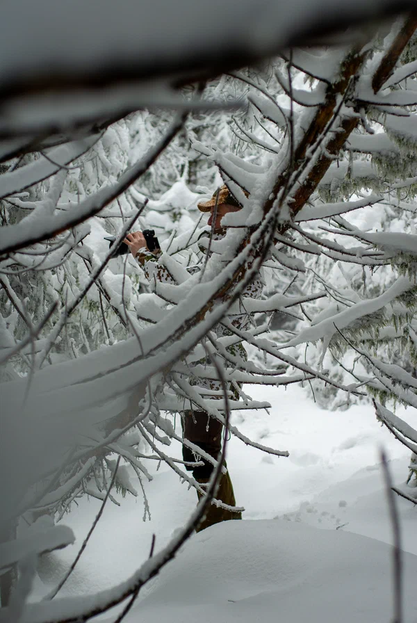 Einsamer Wanderweg im Nationalpark Harz, Winterwanderung